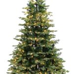 Nordmann Fir Deluxe Pre-Lit
