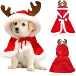 Santa & Reindeer Pet-Inclusive Family Costume Set